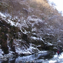 大滝三十槌の氷柱