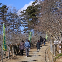 宝登山・東ロウバイ園