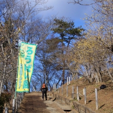 宝登山・東ロウバイ園