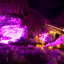 あしがくぼの氷柱ライトアップ