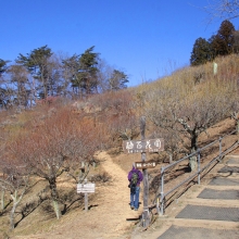 宝登山・梅百花園