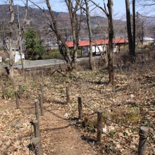 弟富士カタクリ園