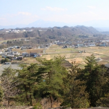 白砂公園 カタクリ