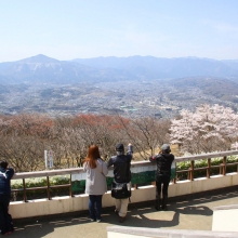 美の山公園・桜開花情報