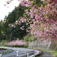 上吉田カイドウ街道