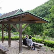 両神花しょうぶ園