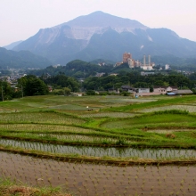 寺坂棚田