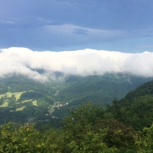 美の山アジサイと雲海の画像