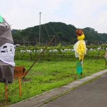 下吉田フルーツ街道案山子祭りの画像