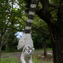 ムクゲ自然公園美術館の画像