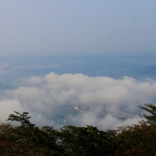 美の山雲海の画像