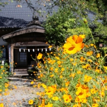 遍照寺の画像