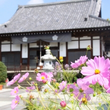 多宝寺の画像