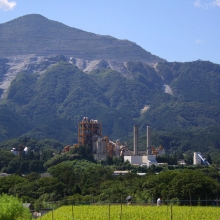 寺坂棚田彼岸花の画像