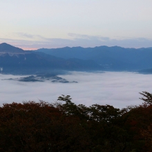 美の山雲海の画像