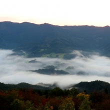 美の山雲海の画像