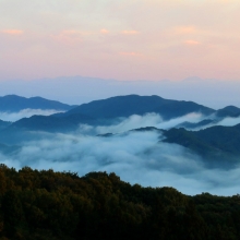 美の山雲海の画像