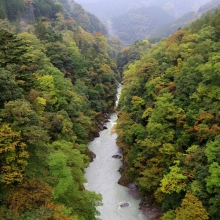 奥秩父紅葉白川橋