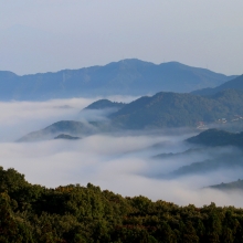 美の山雲海の画像