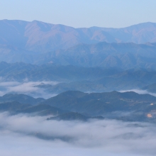 美の山雲海の画像