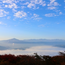 美の山雲海の画像