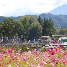 龍勢祭の画像