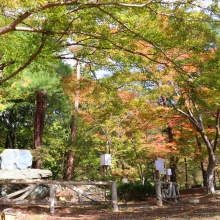 長瀞紅葉 月の石もみじ公園