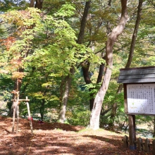 長瀞紅葉 月の石もみじ公園