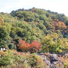 長瀞紅葉 岩畳周辺