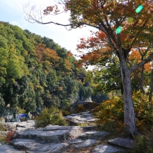 長瀞紅葉 岩畳周辺