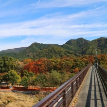 長瀞紅葉 金石水管橋