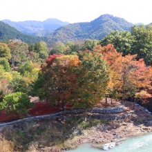 長瀞紅葉 金石水管橋