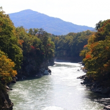 長瀞紅葉 金石水管橋