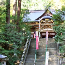 長瀞紅葉 寶登山神社の画像