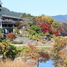 長瀞紅葉 岩畳周辺