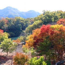 長瀞紅葉 金石水管橋の画像