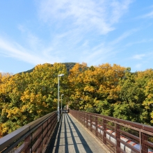 長瀞紅葉 金石水管橋の画像