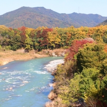 長瀞紅葉 金石水管橋の画像