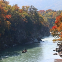 長瀞紅葉 金石水管橋の画像