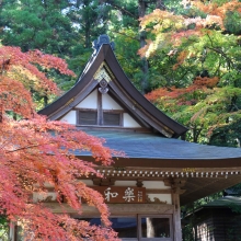 長瀞紅葉 寶登山神社の画像