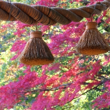 長瀞紅葉 寶登山神社の画像