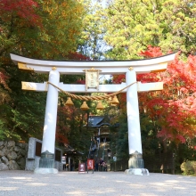 長瀞紅葉 寶登山神社の画像