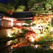 寶登山神社紅葉ライトアップ