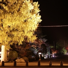 寶登山神社紅葉ライトアップ