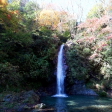 秩父華厳の滝の画像