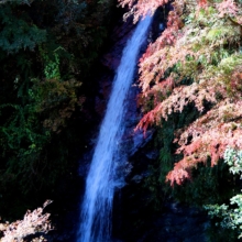 秩父華厳の滝の画像