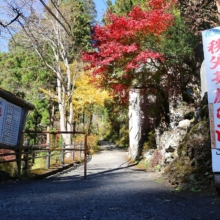 秩父華厳の滝の画像