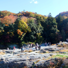 長瀞紅葉 岩畳周辺の画像