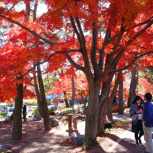 長瀞紅葉 月の石もみじ公園