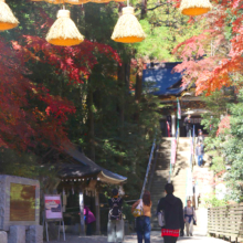 長瀞紅葉 寶登山神社の画像